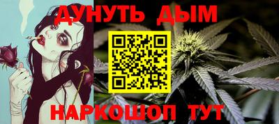 сатива Кингисепп