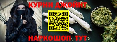 сатива Кингисепп