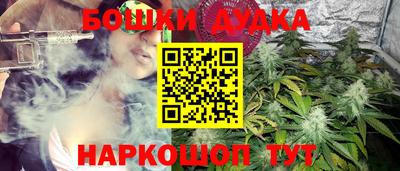 сатива Кингисепп