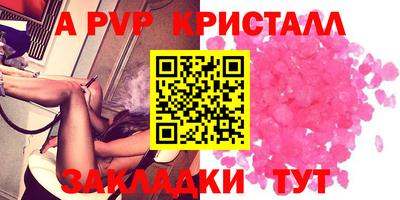 сатива Кингисепп