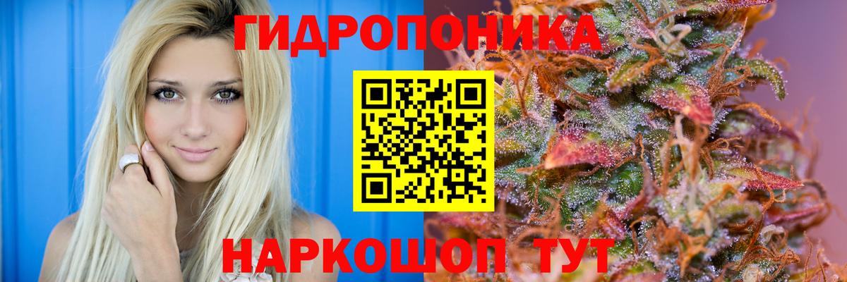 Бошки Шишки план  Шишки марихуана семена  МАРИХУАНА семена  Зима  Вход с VPN 